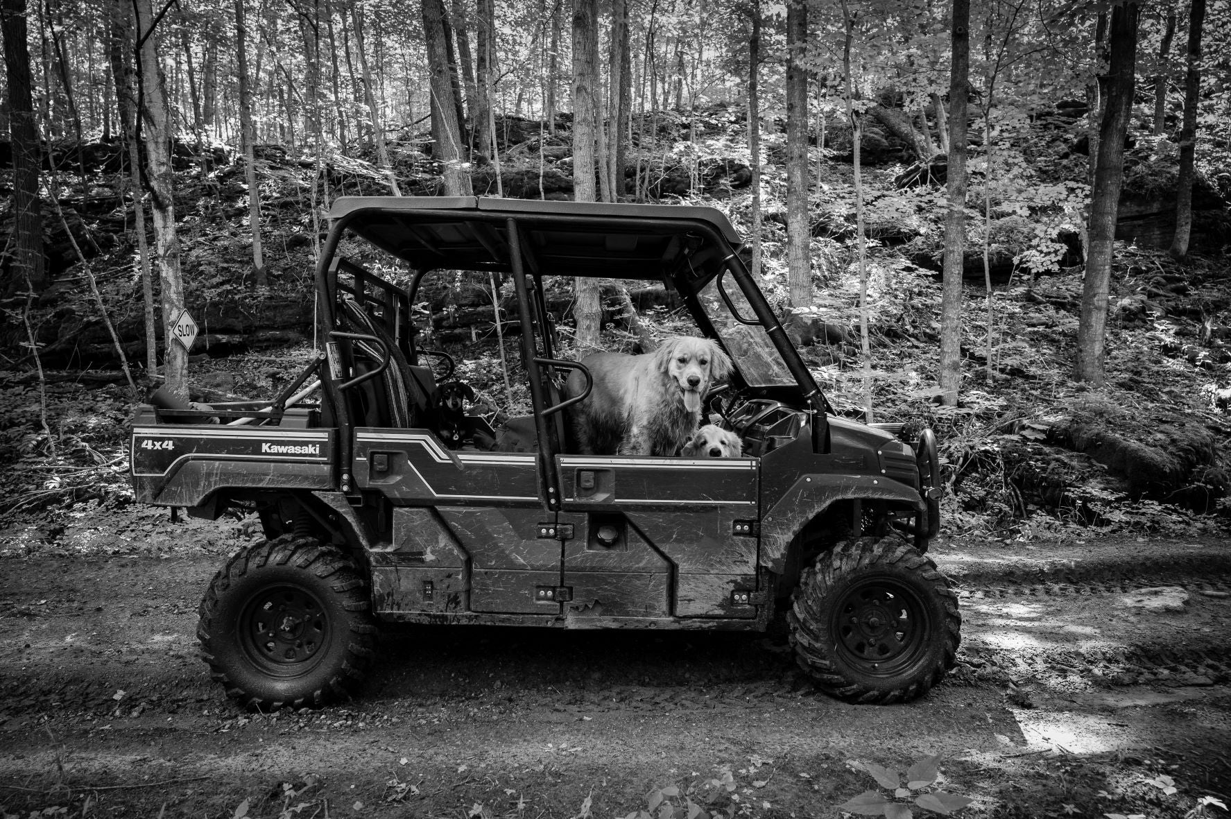 "Back Seat Driver"